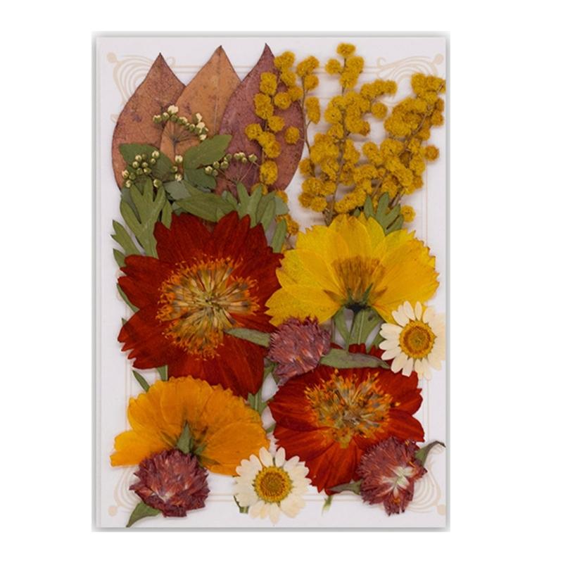 Natural Pressed Dried Flower For Epoxy Resin Dry Flowers and Leaves Set for Soap Candle Jewelry Making Scrapbooking