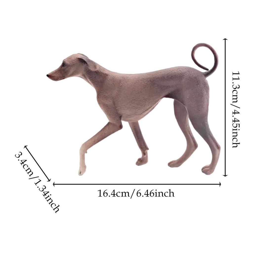 Simulation Model Collectible Puppy Sculpture Realistic Dog Figurine Azawakh Dog Statue for Shelf Hotel Party Fireplace Farmhouse