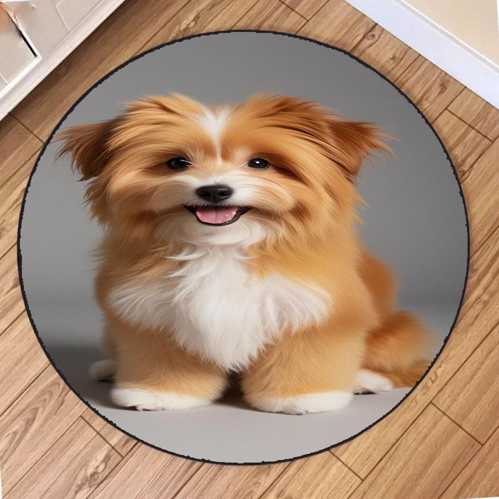 

Cute Golden Dog Puppy Smile Round Mat Living Room Bedroom Kitchen Balcony Rugs Non-Slip Yoga Home Decoration Girl Gifts Carpet 40X40CM