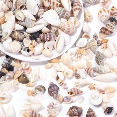 40g/bag Natural Shell Beads No Hole Conch Shell For Jewelry Making DIY Necklace Bracelets Home Fish Tank Decoration Accessories