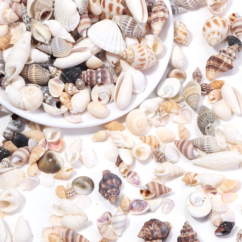 40g/bag Sea Shell Beads Tiny Conch Beads Undrilled Natural Shell Beads For Jewelry Making DIY Crafts Ornament Home Decoration