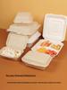 Biodegradable Hinged-Lid Food Containers