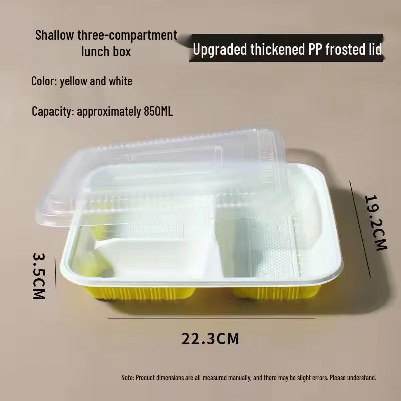 Disposable 3-Compartment Plastic Lunch Box with Frosted Lid