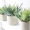 Artificial Staghorn Fern Hanging Plants Fake Boston Fern Hanging Plant Faux Fern Plant for Indoor Outdoor Home Wall Room Gar