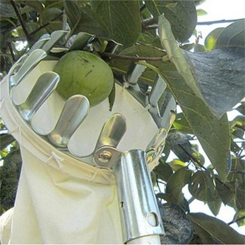 Fruit Picker Convenient Horticultural Fruit Picker Extract Pulldownandbrea Gardening Apple Peach Picking Easy To UseTools