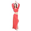 Mesh Silver Shimmer Belly Dance Outfit Slim Fitting Oriental Dance Practice and Performance Wear