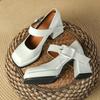 French Mary Jane High Heels Women's Short 2025 Early Spring Retro Square Head Women's Shoes Waterproof Table Thick Heel Single Shoes Women