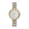 Fossil KARLI BQ3884 Women's Silver & Gold Watch