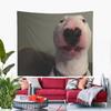 Wall Hanging Tapestry for Room Decor Aesthetic Outdoor Flag Blanket Yoga Funny Peter Dog Meme