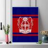 Bayer 04 Leverkusen 100% Round Full Drill 5D DIY Diamond Painting Embroidery Cross Stitch Rhinestone Décor