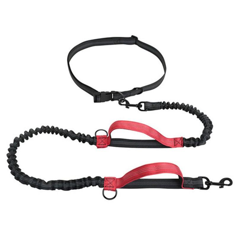 Portable Reflective Retractable Dog Leash Dual Handles Nylon Pet Lead Walking
