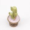 1:12  Garden Decoration  Cute  Resin  Garden Accessories