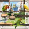 8Pcs Bird Toys for Parakeets Parrot Parrot Training Chewing Hanging Standing Wooden Toys Bird Cage Accessories Non-Slip