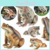 Childrens Frog Animal Plastic Model With Realistic Frog Design For Educational Gifts