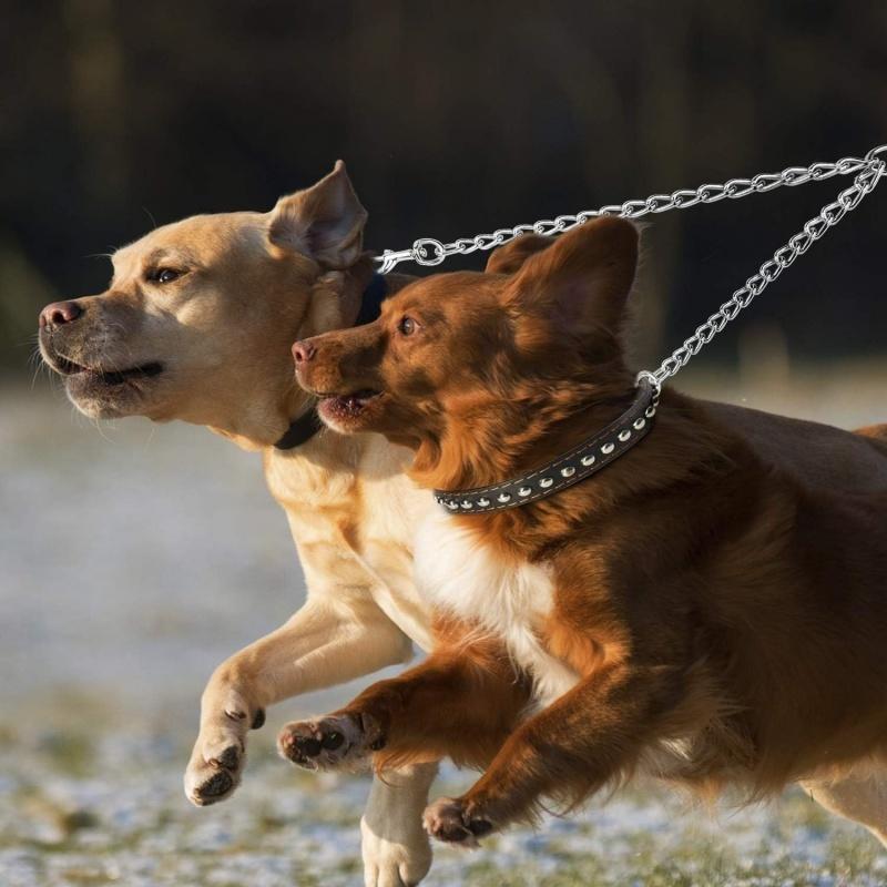 Double Head Pet Traction Rope Traction Belt Dog Traction Double Buckle Chain For Two Dog Leash Running Walking