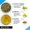 TEACURRY Belly Fat Tea(1 Month Pack, 30 Herbal Tea Bags)- Helps With Belly Fat, Water Weight, Bloating, 60 Gms