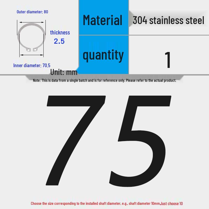 304 Stainless Steel Snap Ring for 3-200 Bearing