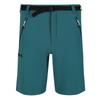 Regatta Mens Xert III Stretch Shorts