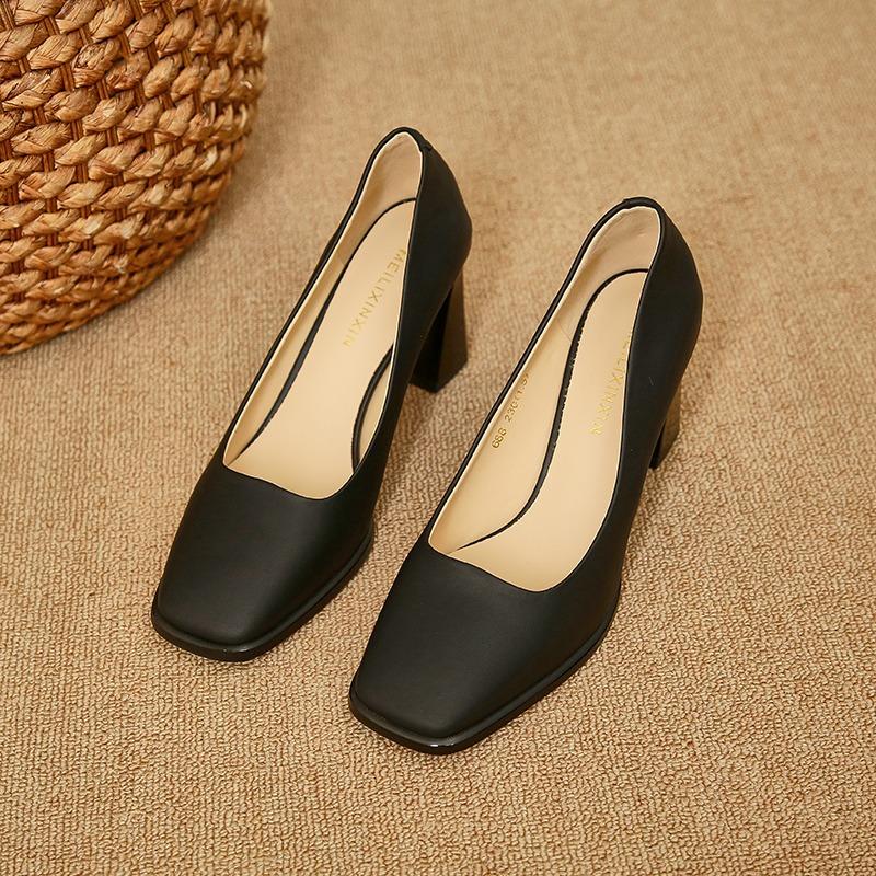 Fashion 2025 New Spring Women's Luxury Shoes Fashion Pointed Toe French Style Thick Heel Shoes Female Professional Elegant High Heels