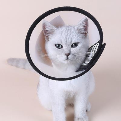 Pet Elizabeth Hoop Cat Dog Collar Beauty Headgear Anti-Lick Bite Dog Neck Hoop Pet Collar