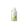 The Saem Healing Tea Garden Green Tea Lip & Eye Remover