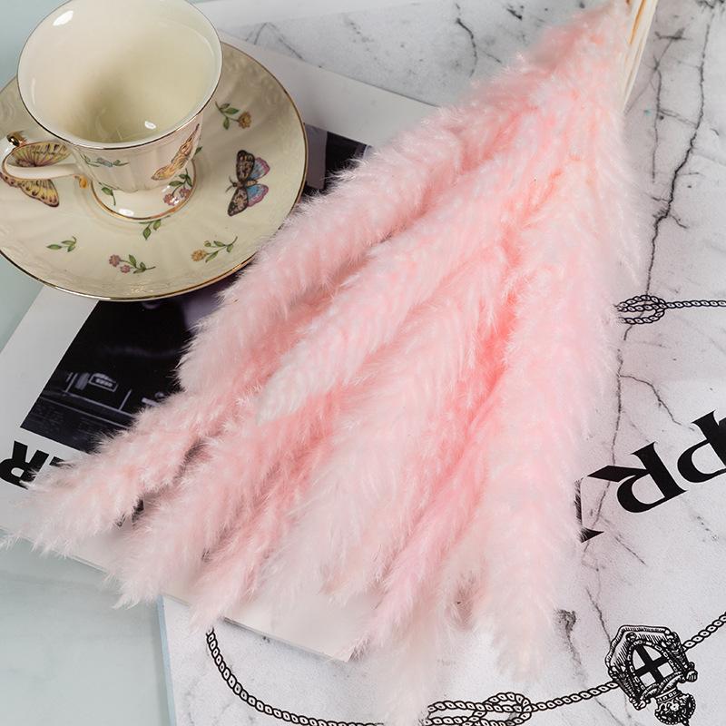 Small Reed Pampas Grass Dried Flower Special Offer Small Reed Dried Flower Bouquet Decoration Wedding Arrangement