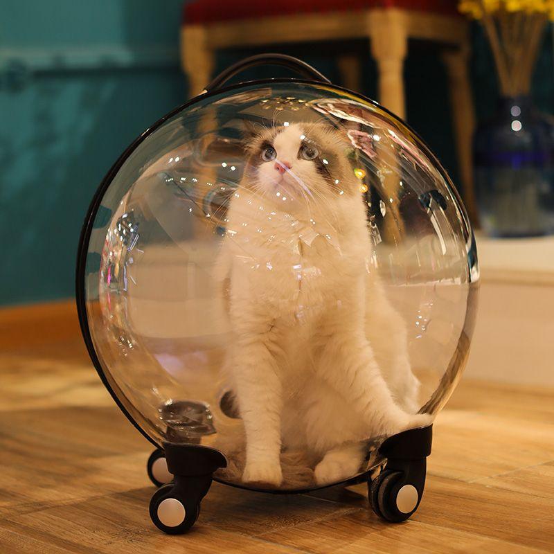 

Cat Bag Outdoor Portable Trolley Case Space Capsule Cats Backpack Diaper Bag Large Capacity Transparent Pet Cat Carriers 48X38X43CM