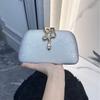 Fashi Serpentine Chain Banquet Bag Crossbody Bags for Women Shoulder Bags Dinner Bag Purse and Handbags Designer Bags