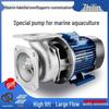Stainless Steel Seawater Pump for Seafood Tanks & Agricultural Irrigation - Available In 3, 4, & 6 Inch Sizes