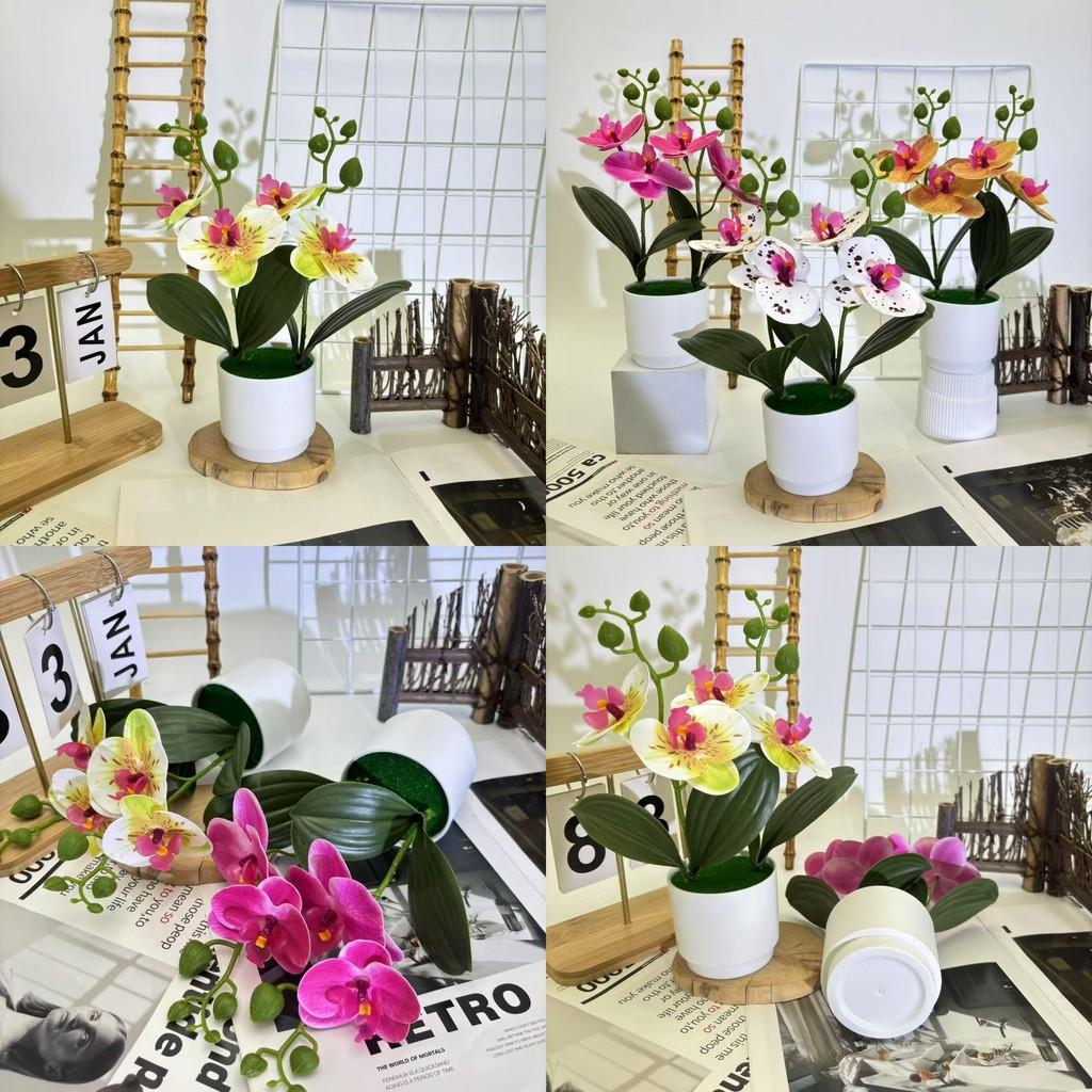 Butterfly Orchid Imitation Flower Set For Home Interior And Outdoor Garden Decoration