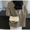 Fashion niche armpit small bag 2025 new French light luxury women's bag commuter shoulder bag autumn and winter versatile messenger bag