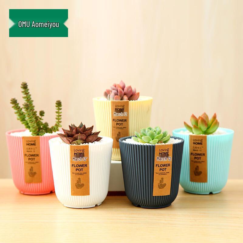 Aomeiyou Versatile Plant Pots