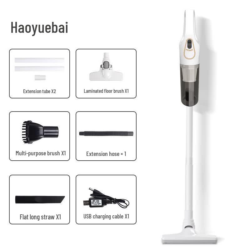 LISM Cordless Vacuum Cleaner with Mop