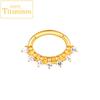 G23 Titanium Nose Rings Hinged Septum Clicker Segment Ear Tragus Cartilage Helix Daith Lip Body Piercing Jewelry Golden Earrings