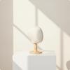 Mannequin Head with Wooden Stand Simple Base Neutral for Milliners,