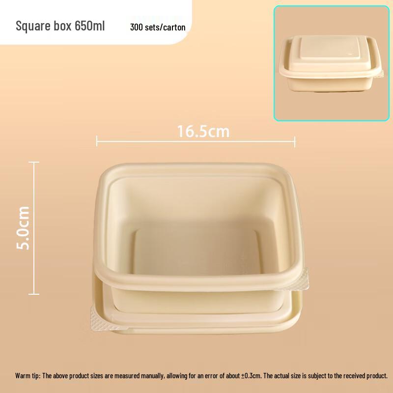 Disposable Biodegradable Square Lunch Boxes