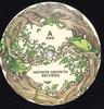 7inch Record ANNANANDA  SOLJA ANNANANDA  Mother Earth  Part Of Creation Dub IGR701 Infinite Growth 2025 Europe Reggae Ska  Dub