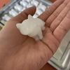 3D Cute Kitten Squeeze Toy - Super Soft, Decompression, Lovely Animal