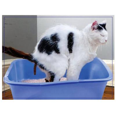 Doing Things Prank Puzzle 300pcs (Cats)