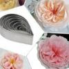Petal Stainless Steel Cookie Cutter & Baking Molds Set