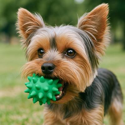 Puppy Squeaky Ball Toy Squeaky Dog Ball
