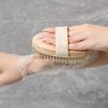 Bath Brush Long Handle Rich Bubbles Soft Bristles Fast Drying Detachable Handle Body Brush Bathing Tool