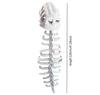 Halloween Dinosaur Skeleton Spine Costume Prop for Stage Outdoor Events