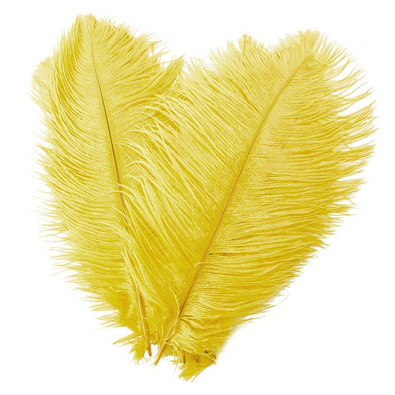 Luxuriöse natürliche Straußenfedern 12-14 Zoll für elegante Party-Tischdekoration