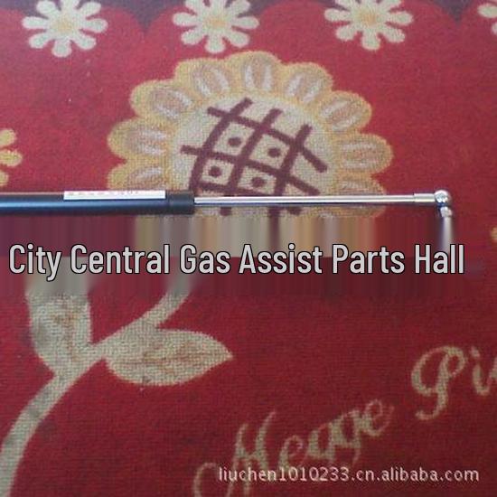 Adjustable Pressure Gas Spring Hydraulic Pneumatic Support Rod 600mm