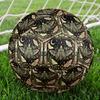 Butterfly Chicken Vintage Art Indoor Soccer Ball Size 5 Colorful All Ages Machine Stitched PVC Competition Ready Durable High-Bounce