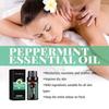 Refreshing Oceaura10ml Mint Essential Oil For Skin Nourishing And Benefits Hydrating