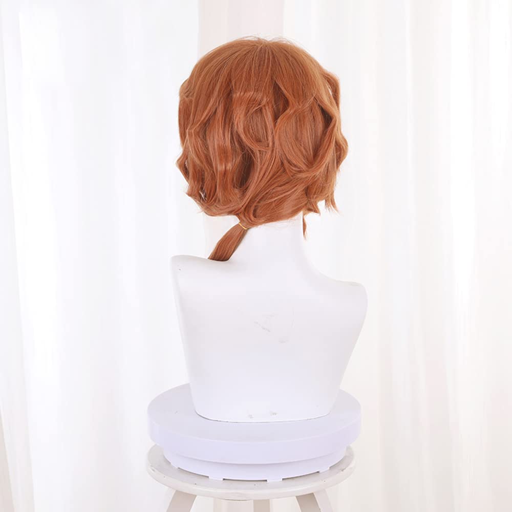 ABUNDANTDOODS Cosplay Anime Costume Cosplay Wig for and Includes Net and Comb Wig, Accessory, Heat-Resistant Wig, Events, Halloween, Costumes,