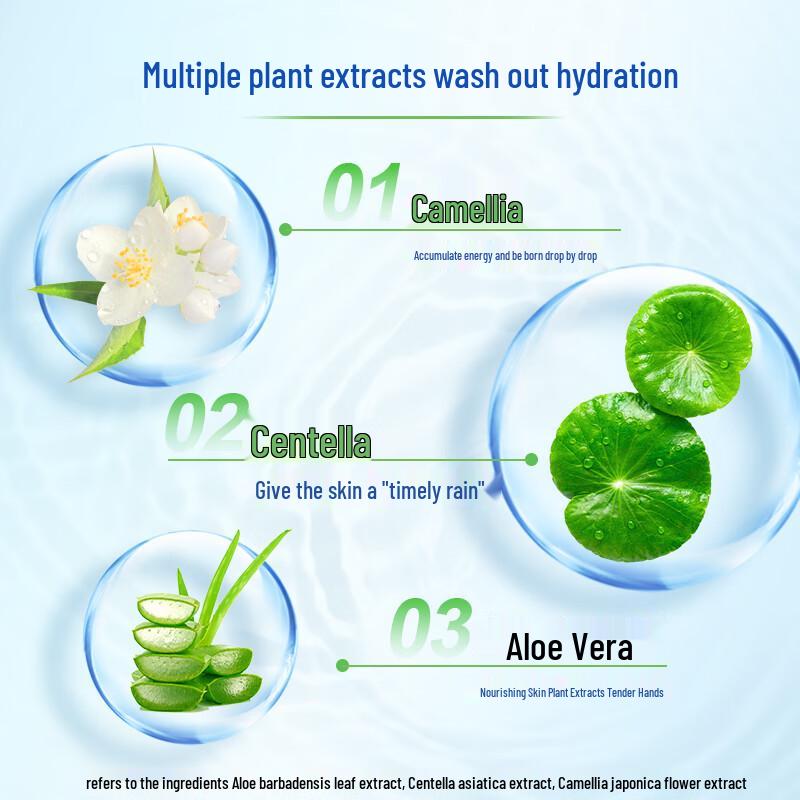 Wallesh Purifying Foam Hand Soap