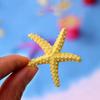 2 Pcs Mini Resin Starfish Ocean Decor Tiny Summer Starfish Figurine for Miniature DIY Crafts Fairy Garden Ornament Beach Party Home Decoration